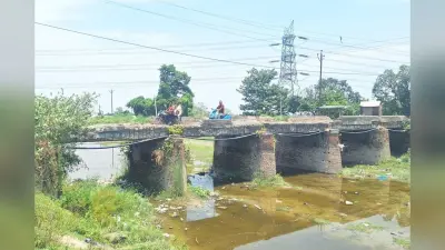 गोपालगंज में तेज रफ्तार ट्रैक्टर का कहर, बाइक सवार तीन युवक घायल